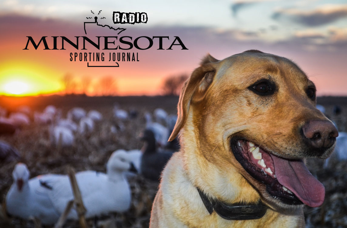 MNSJ RADIO: A New Podcast Is Up!