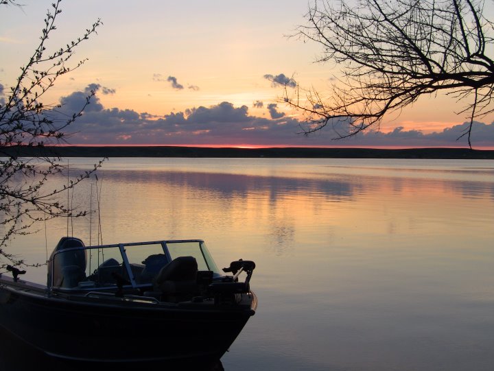 Starry Stonewort Confirmed in Turtle River Lake & Bowen Lake