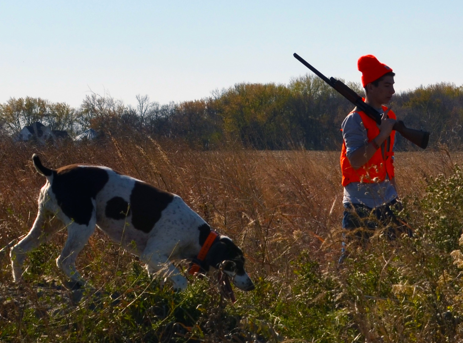 Making Trapping Regulations More Dog-Friendly – How can you help?