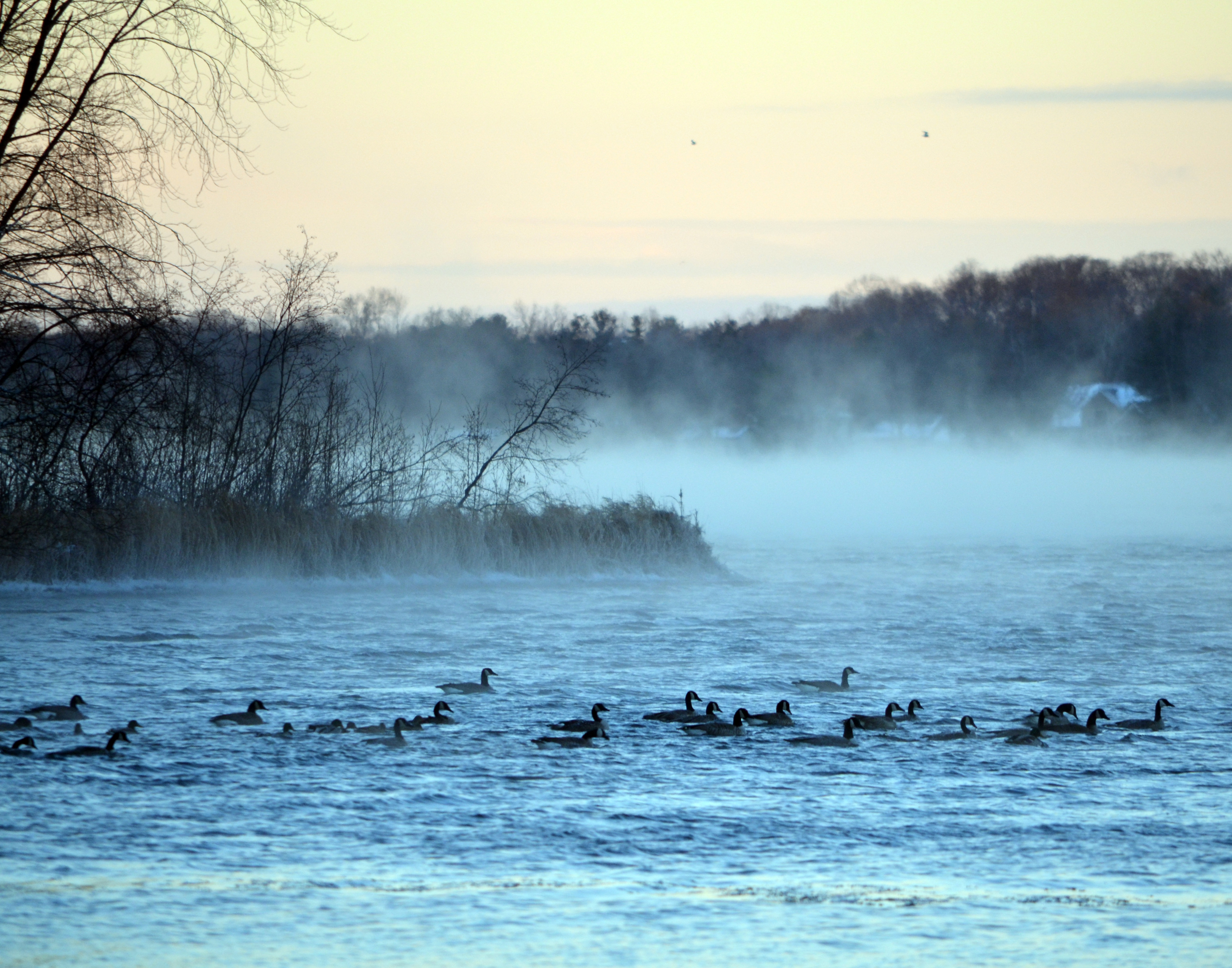 COLD WEATHER CRAZIES