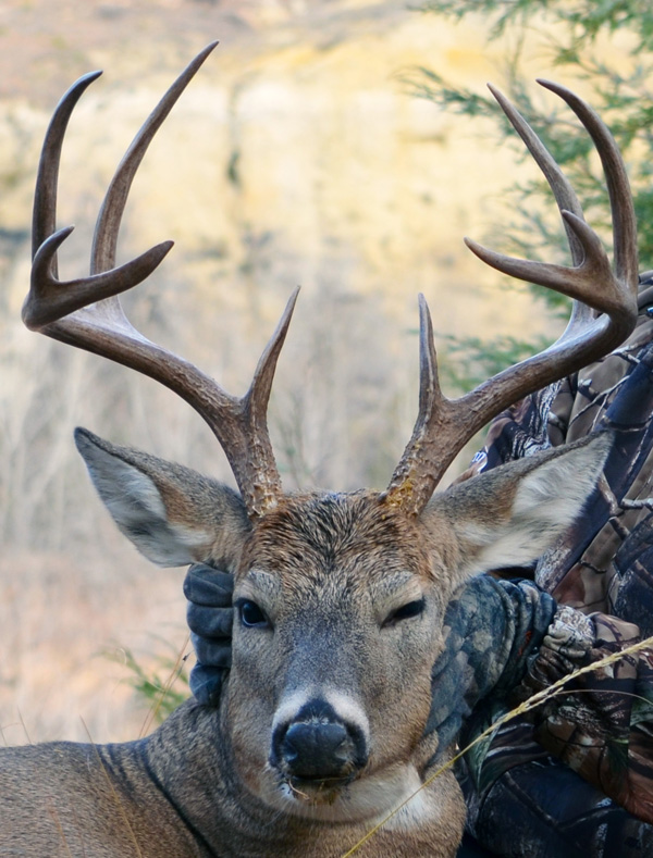 Guess the score contest!