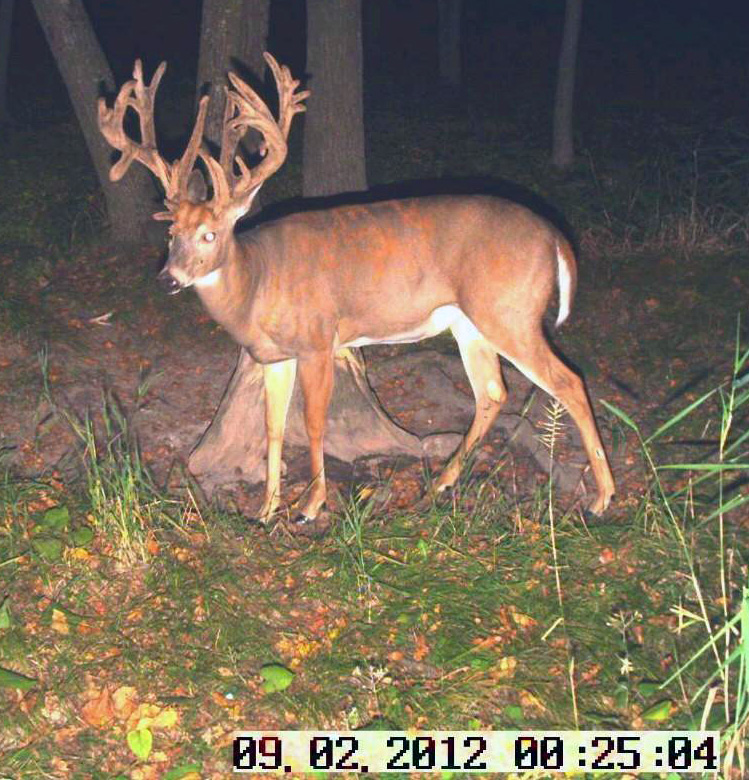 WINTER ISSUE – Sneak Peek