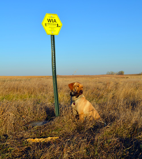 Acronyms: The Ineffective Language of Conservation