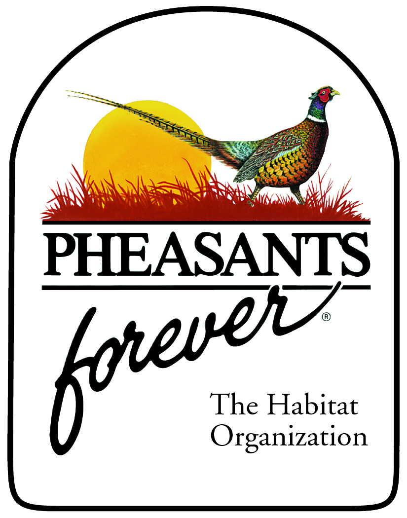 What did Pheasants Forever do in MN in 2013?