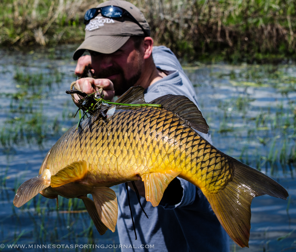 SPACE INVADERS: Spearing invasive species