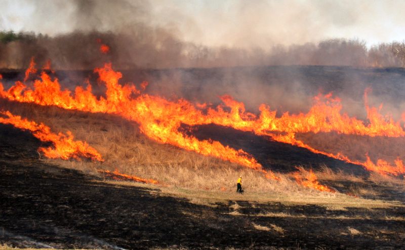 The Importance of Prescribed Fire in Habitat Management