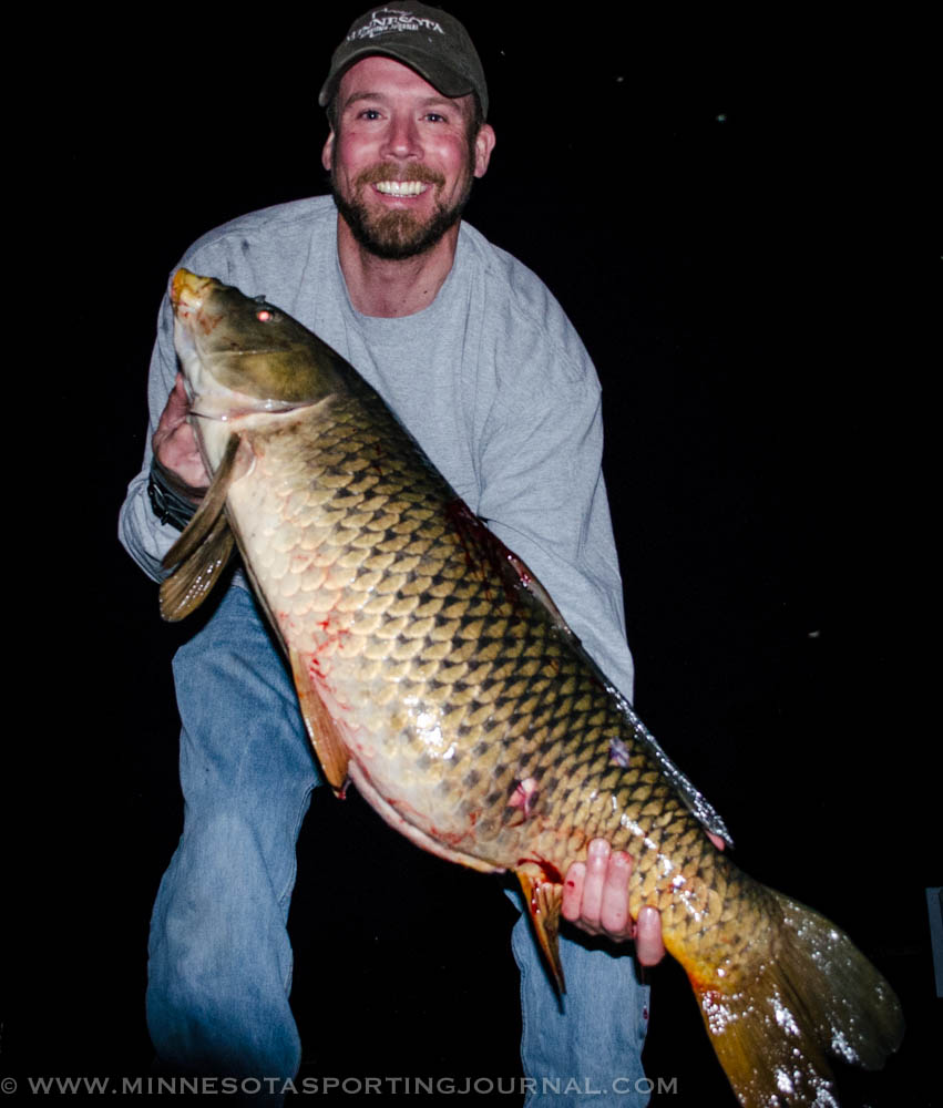 MAD CARP DISEASE: Feeding the bowfishing addiction