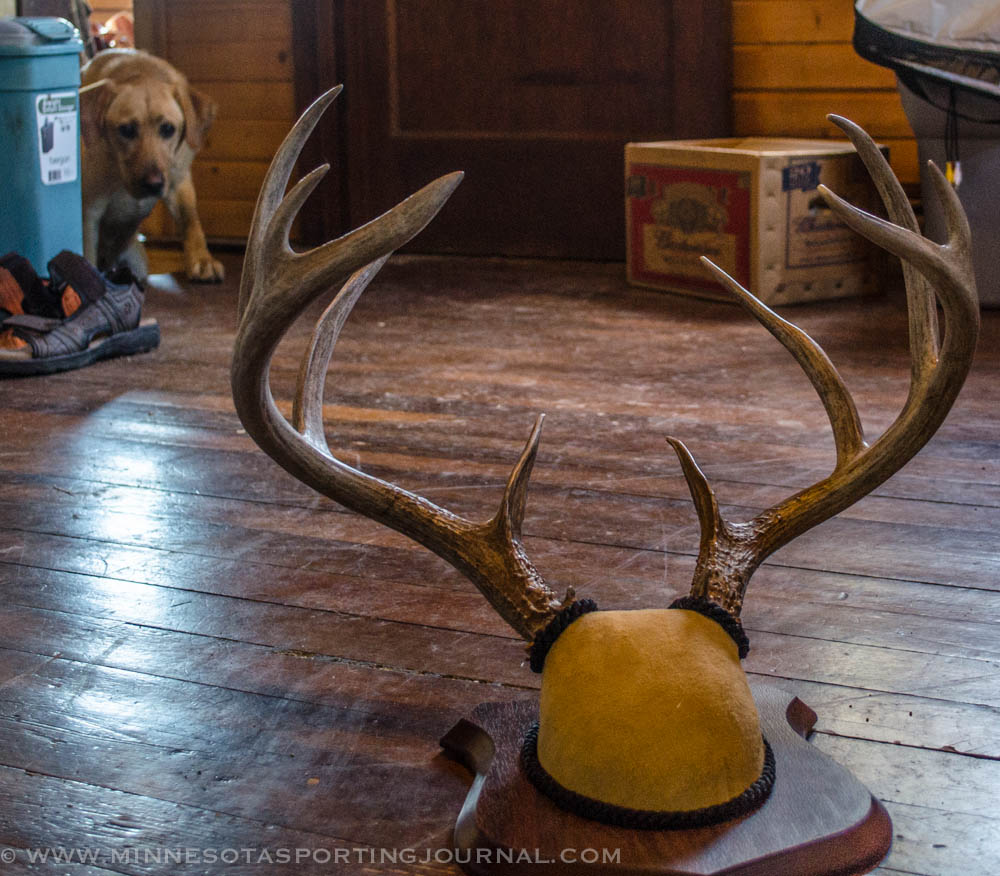 MNSJ Radio: Lake of the Woods walleyes, taxidermy tips and the Scatter Rap Challenge