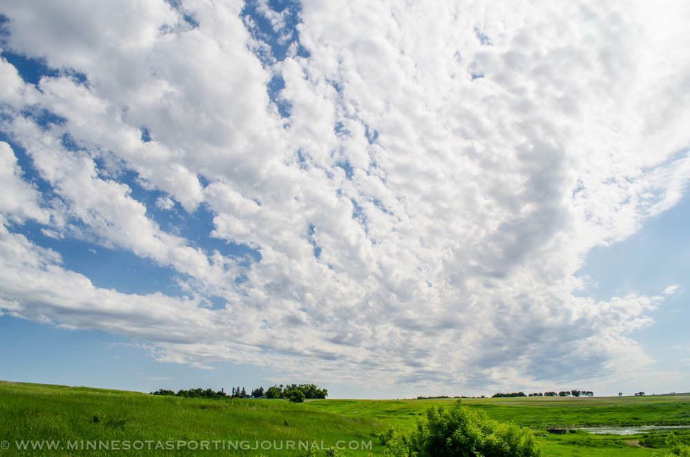 PICTURES OF THE WEEK; Happy Fathers Day!
