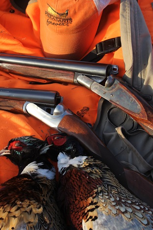 2013 BIRD HUNTING RESOLUTIONS