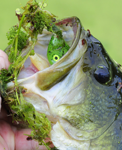 MNSJ RADIO: On This Week’s Show