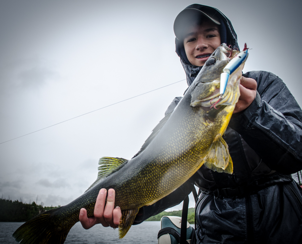 These fish are now off limits; Bowfishing opens!