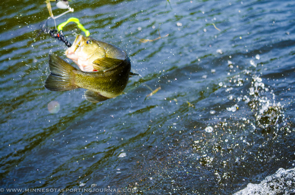 The honey hole with ol’ reliable.