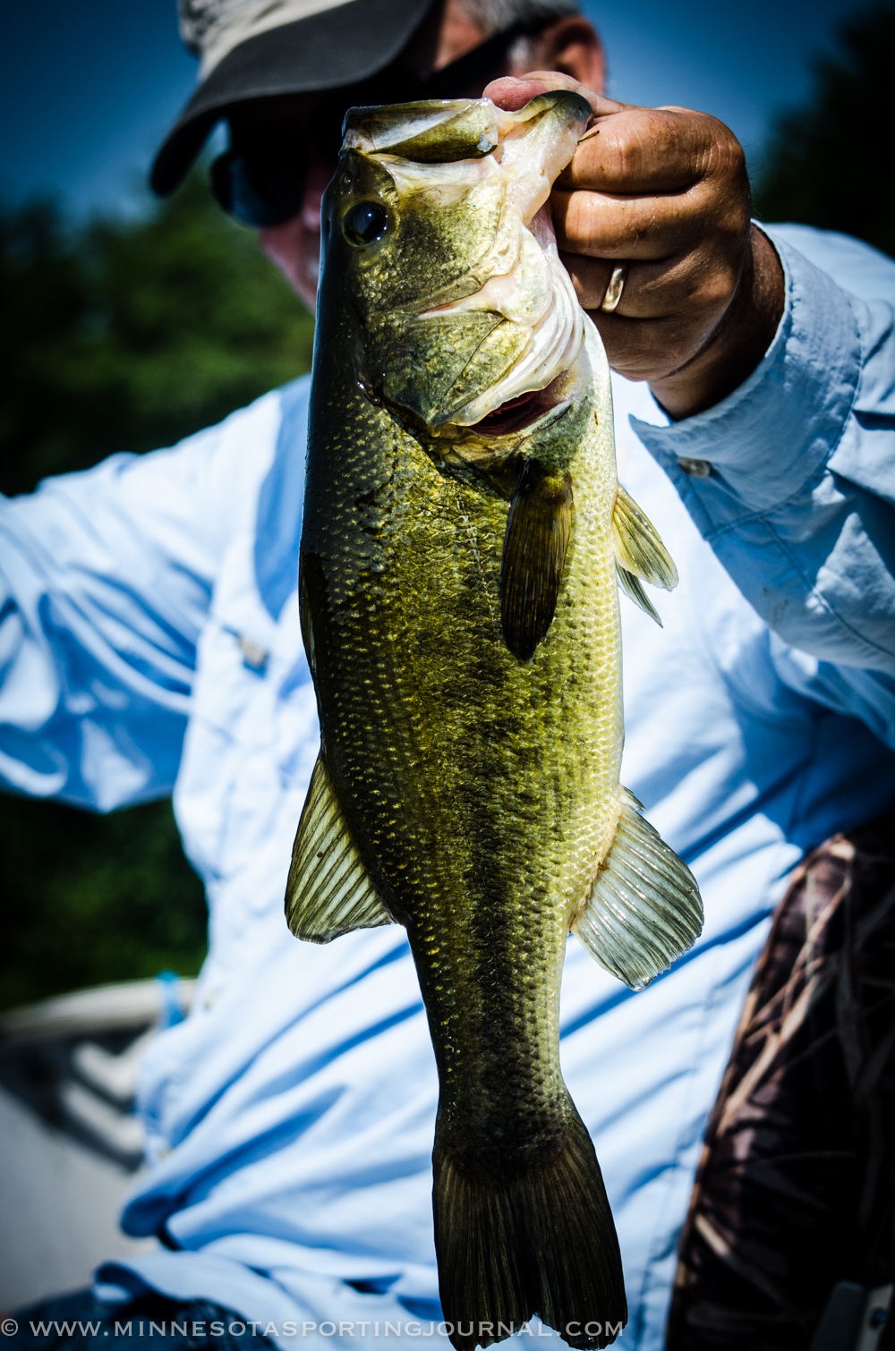 NEW CATCH-AND-RELEASE BASS SEASON OPENS MAY 9th: