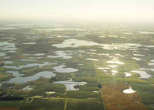 DAKOTA REPORT: North Dakota Wet Cycle Creates More Fishing Opportunities