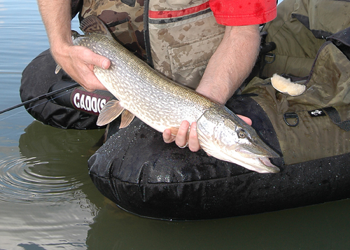 DAKOTA REPORT: Doug Leier loves pike fishing!