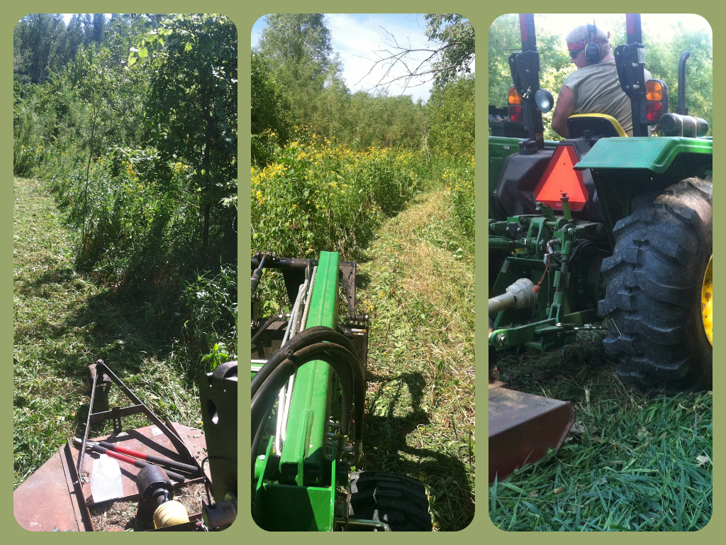 Timing is Everything…