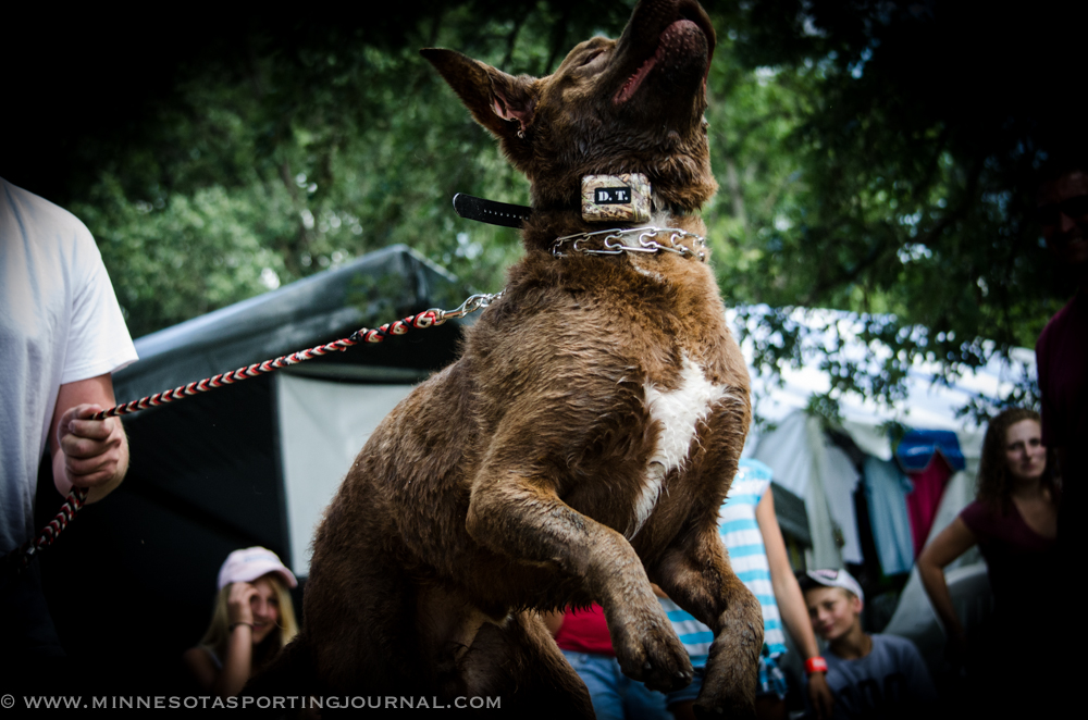 GAME FAIR PICS: DAY 3!