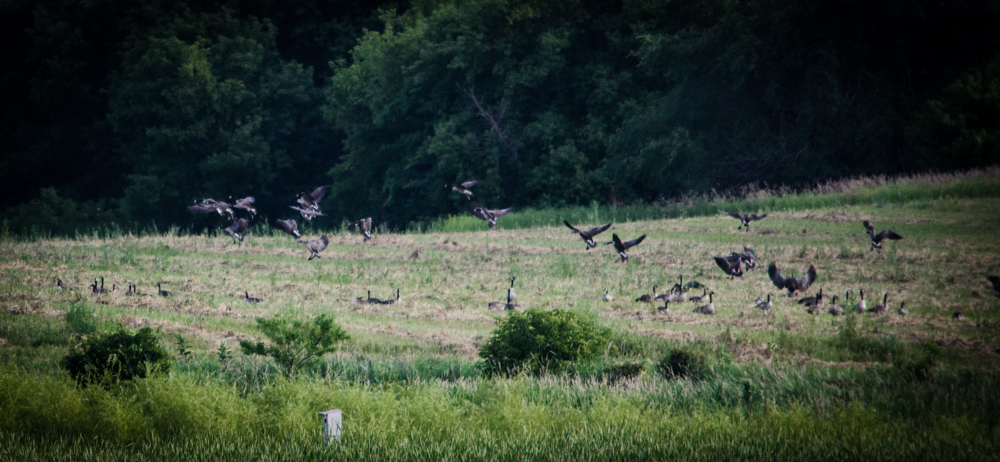 MNSJ Radio: A new podcast is up!