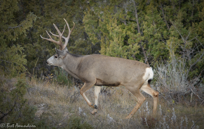 PYP: OPENING DAY-It’s about to get real