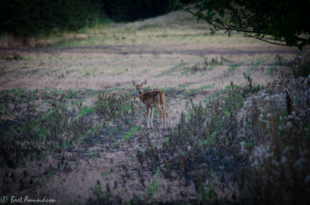 MNSJ RADIO: On This Week’s Show: Game Fair, Casting for A Cure and a Fishing Report