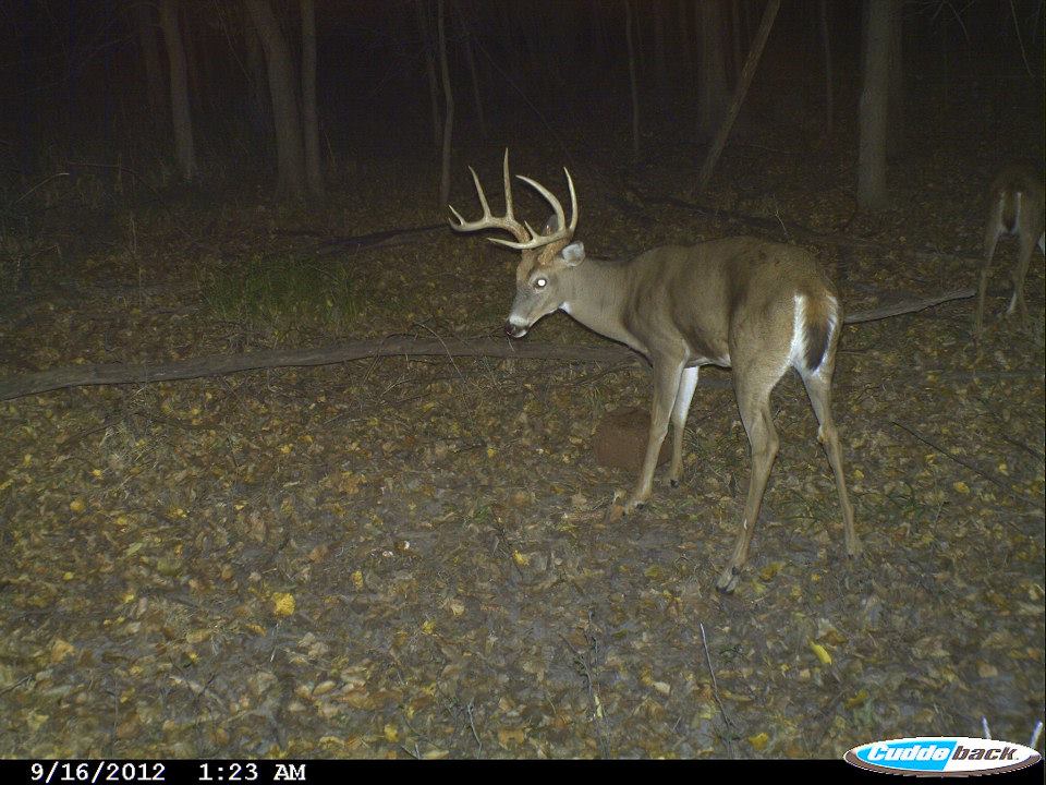 In Pursuit of Pope & Young (PYP) – Minnesota Optimism