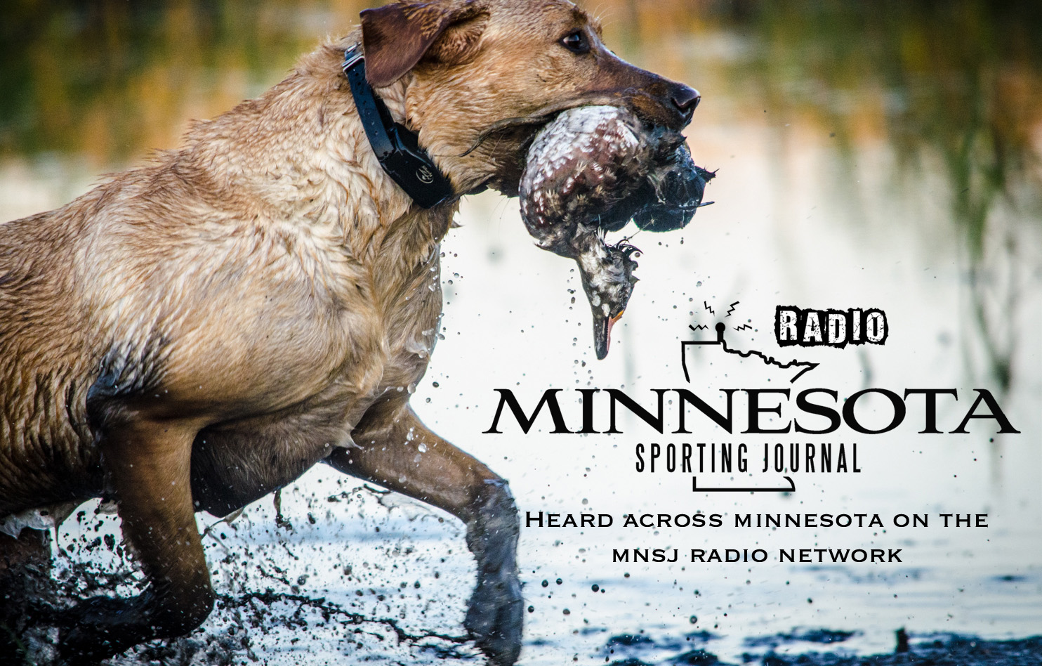 MNSJ Radio: NEW PODCAST IS UP!