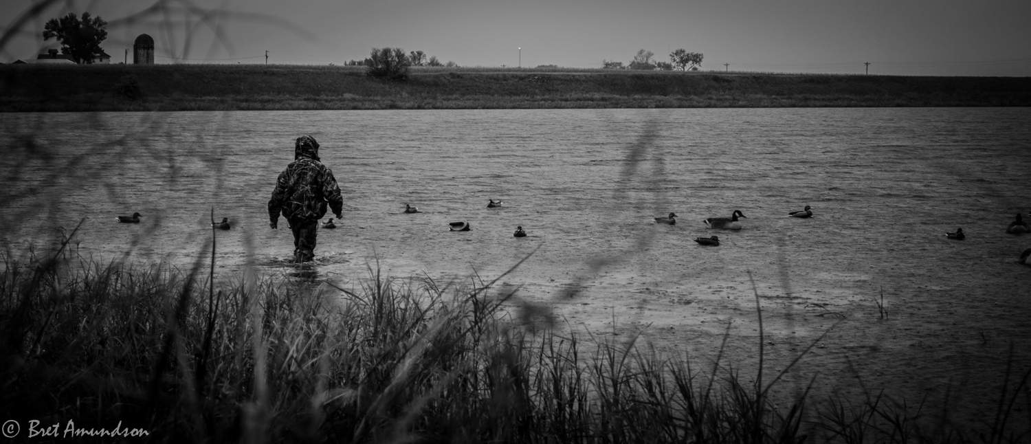 FROM THE DNR: The 5th Anniversary of the Legacy Amendment!