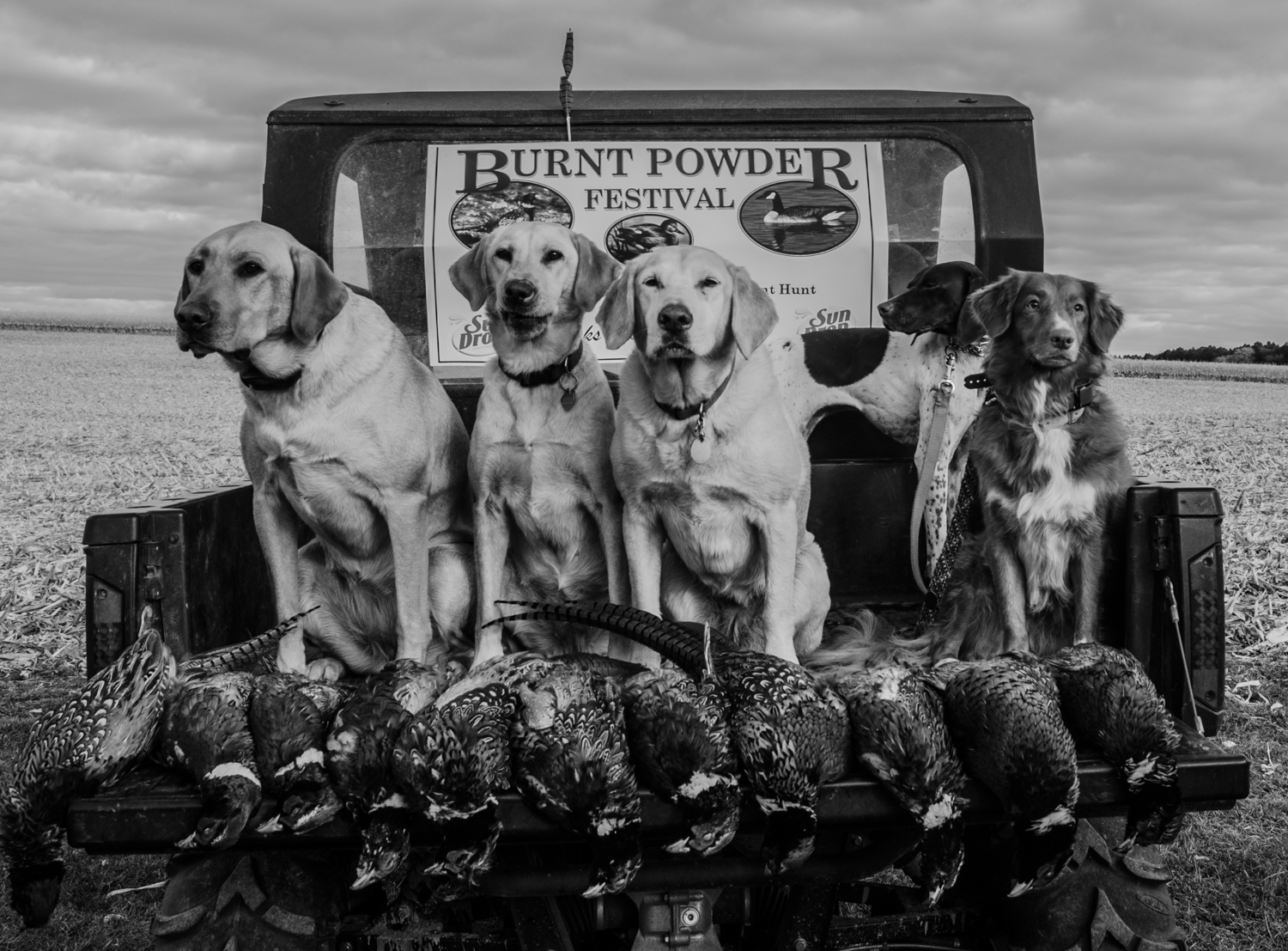 The Week Of Firsts, Comes in Threes