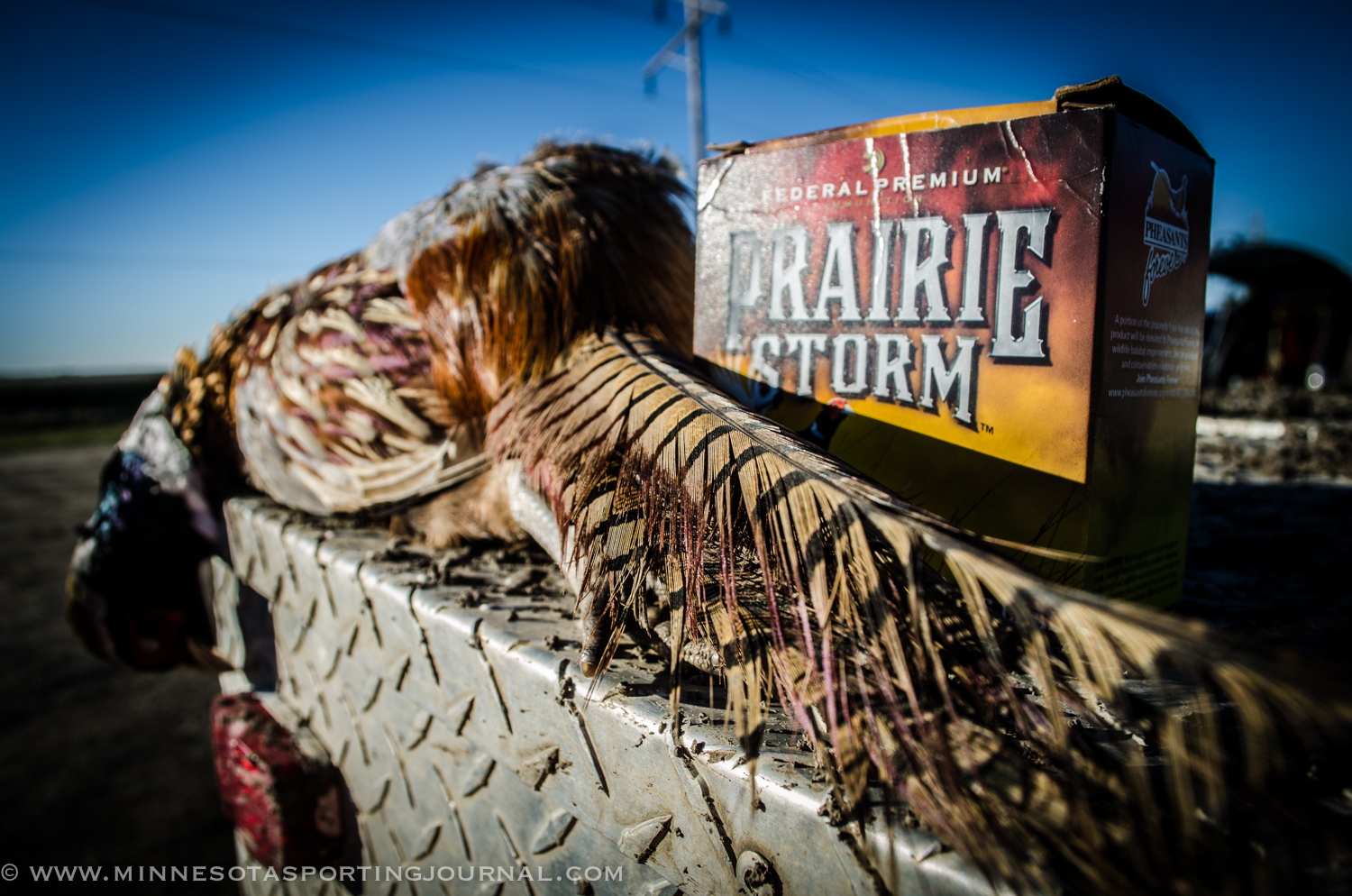 Where does conservation money come from? Plus pheasants, walleyes, deer, snow and more.