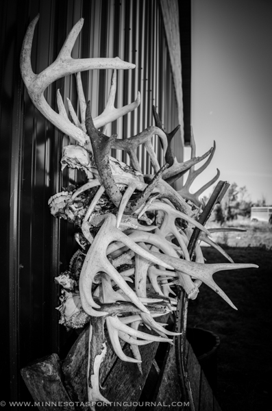 FROM THE DNR: Why deer shed antlers, Parks and Trails Division director to retire…