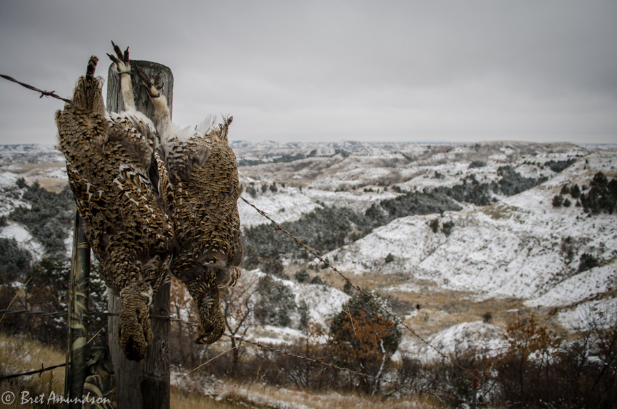 Sporting Journal Radi On Demand: North Dakota 2017 Hunting Recaps, Area fishing repor