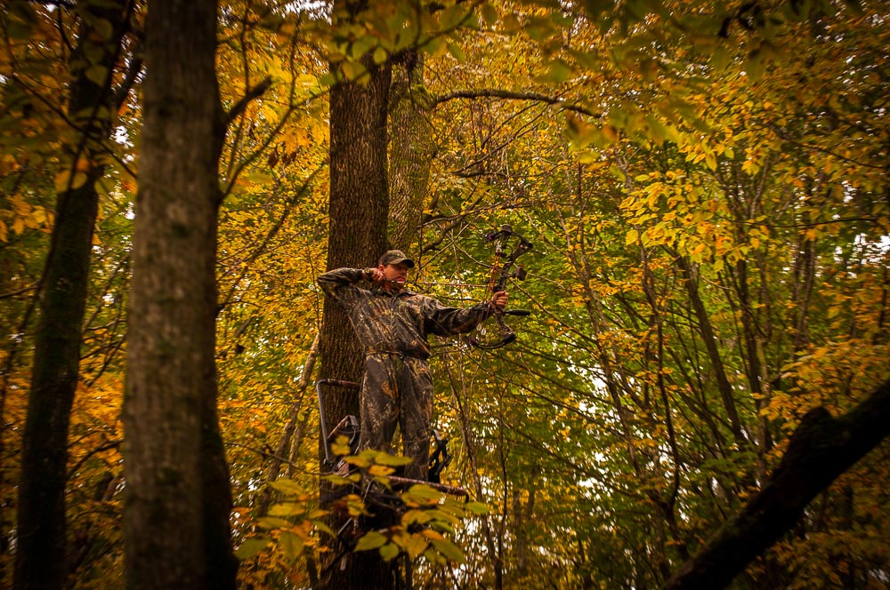 Close Encounters PYP