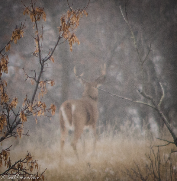 FALL ISSUE – SNEAK PEEK!  Get your FREE copy today!