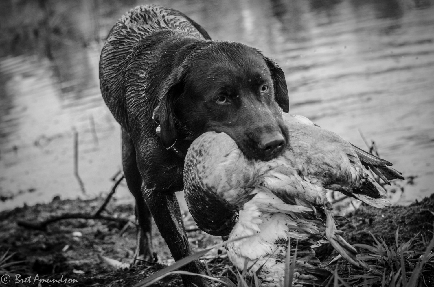 FROM THE DNR: Weekly Conservation Officer Report