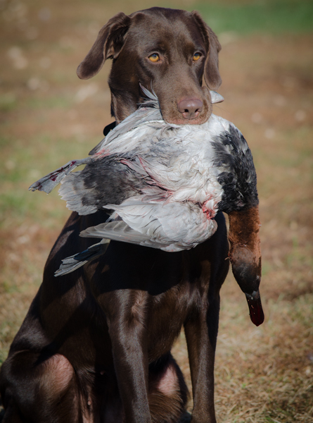 MNSJ Radio: Hugh Price, Wounded Warriors Guide Service and more