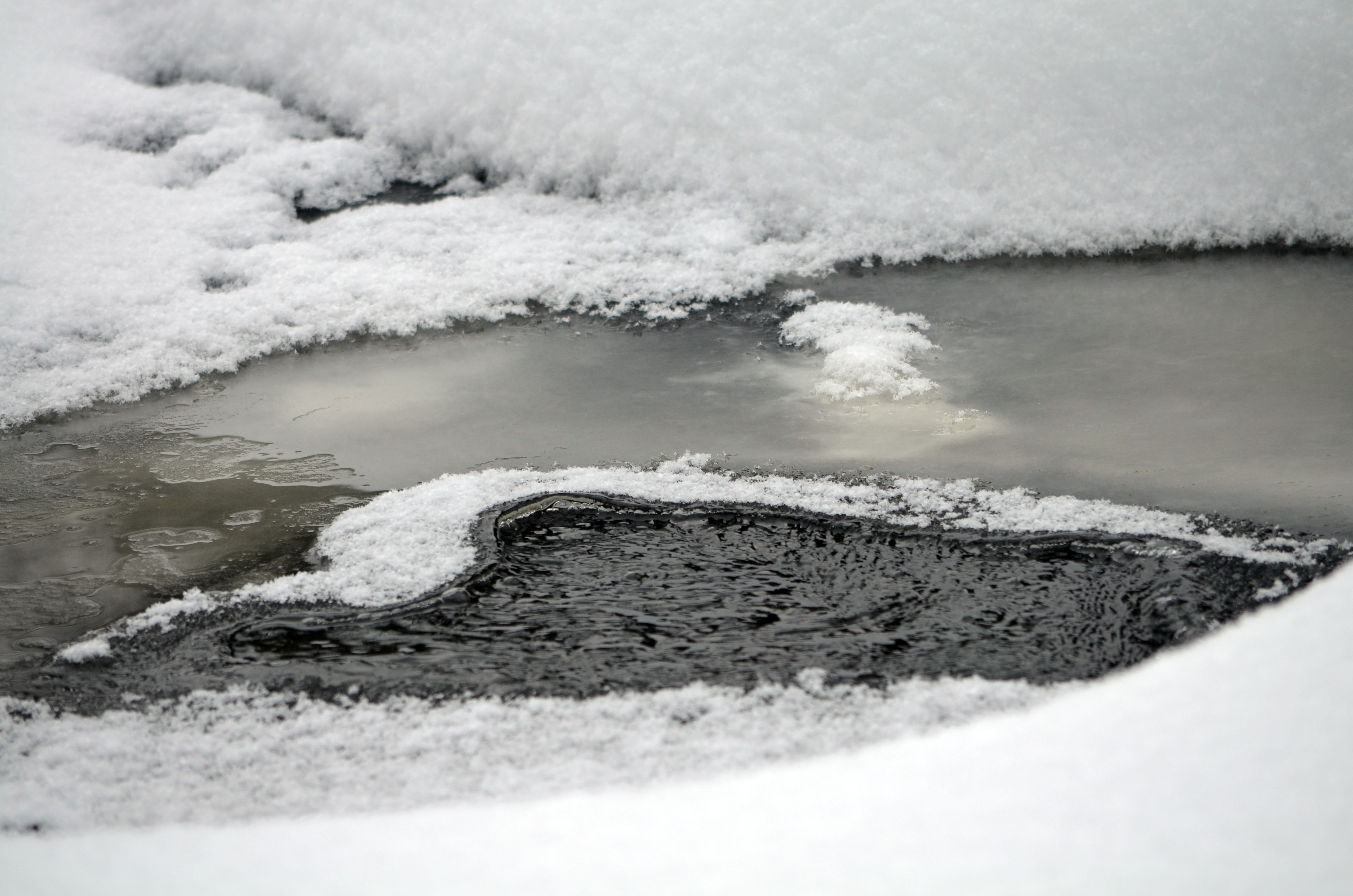 POLYMET COMMENT PERIOD CLOSING…