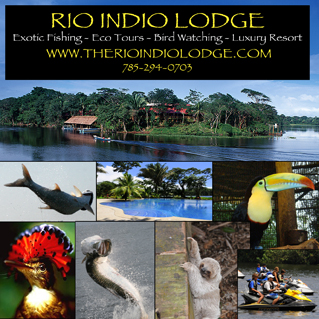 MNSJ Radio: A New Podcast Is Up!  Here’s what is on the show…