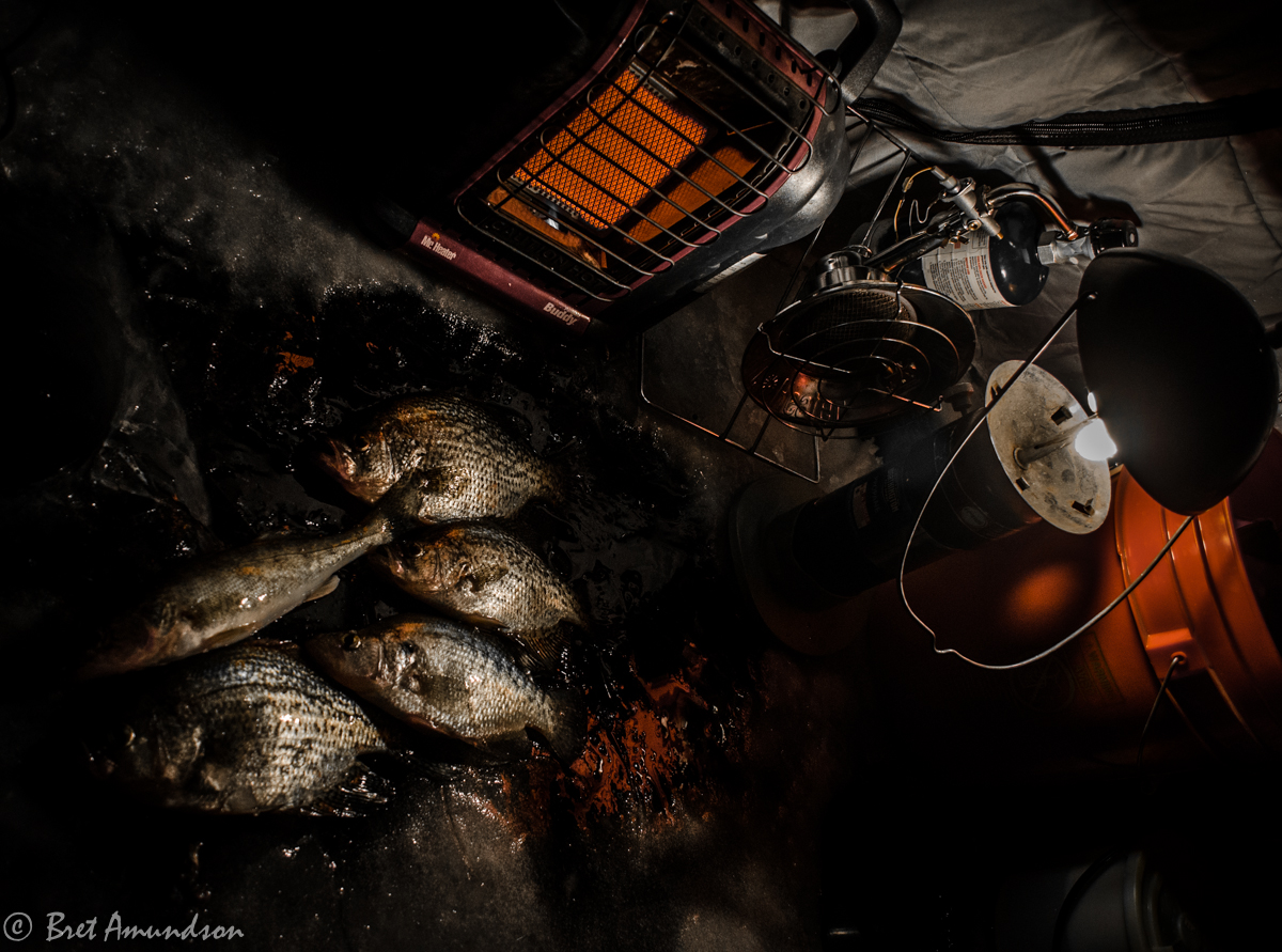 MNSJ Radio: A New Podcast is Up!