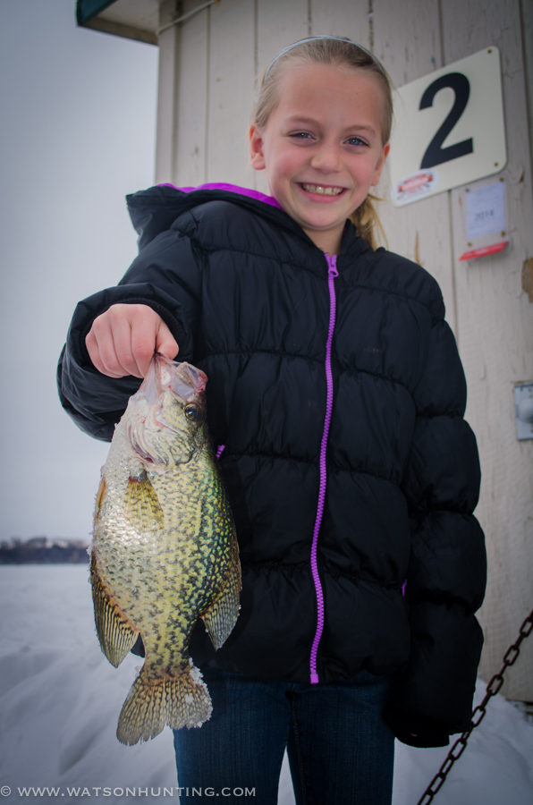 FROM THE DNR: Wolf Season Closure, Deer and Elk surveys, Take-A-Kid Fishing, ….