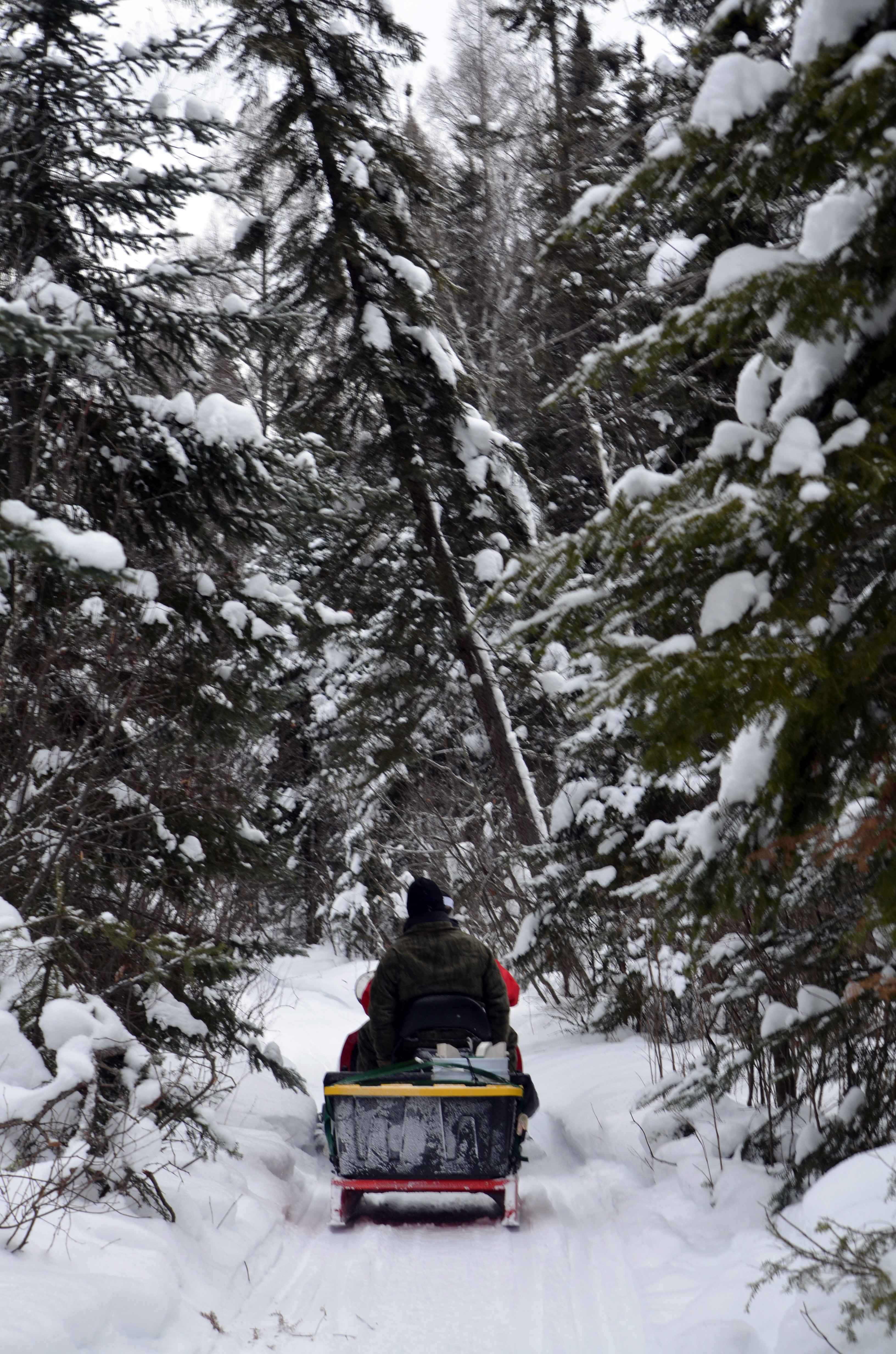 Weekly Conservation Officer Report