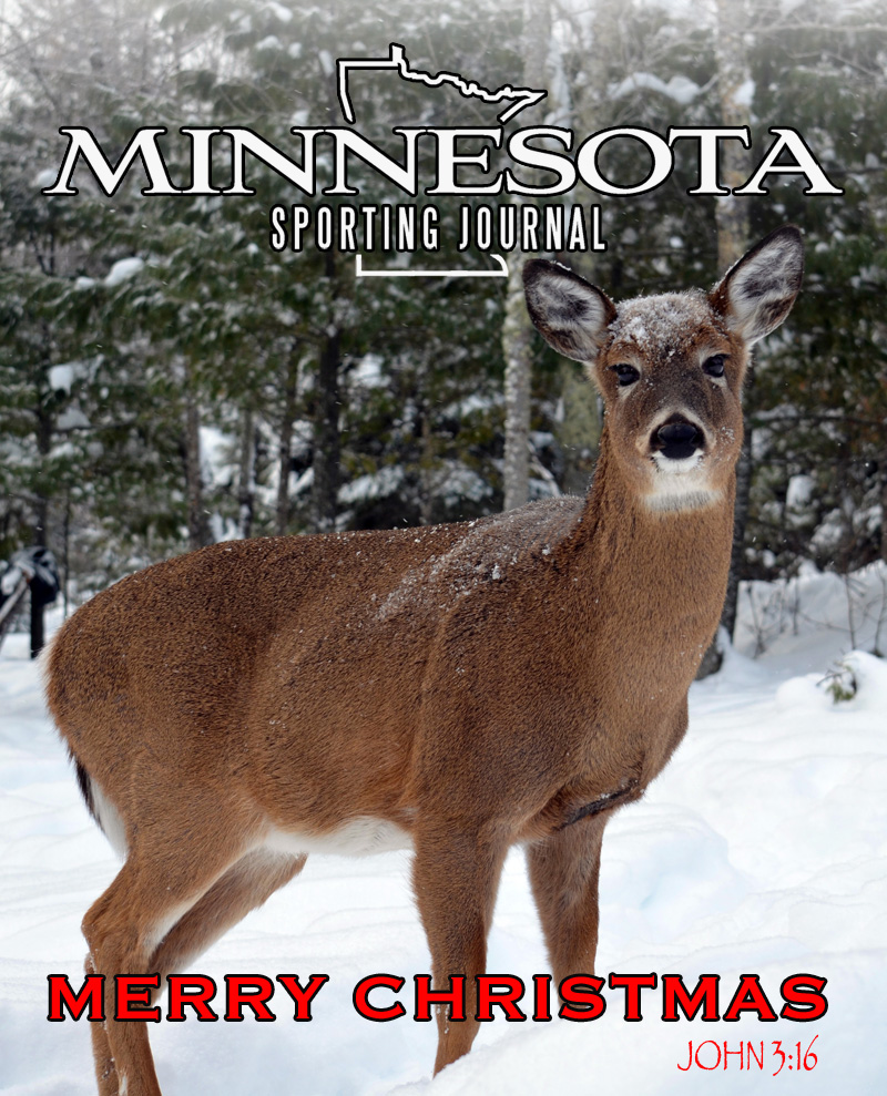 Merry Christmas from MNSJ