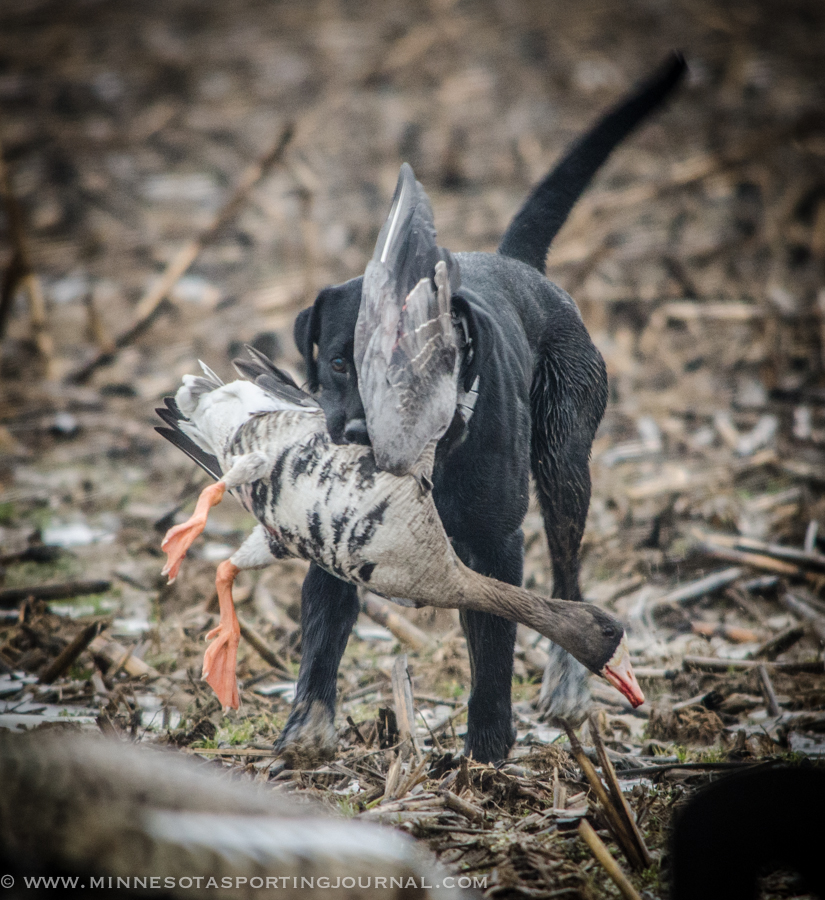 MNSJ heads to Arkansas with Wounded Warriors Guide Service.