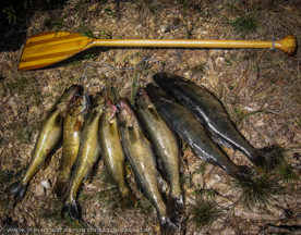 Heading to the Boundary Waters?  Here’s a handy checklist to help prepare.