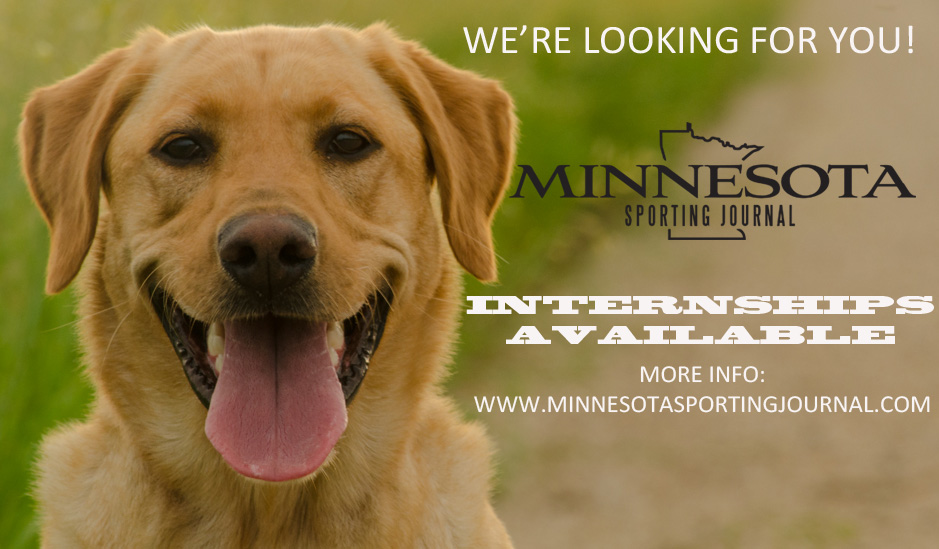 INTERNS WANTED:  Work in the outdoor media industry