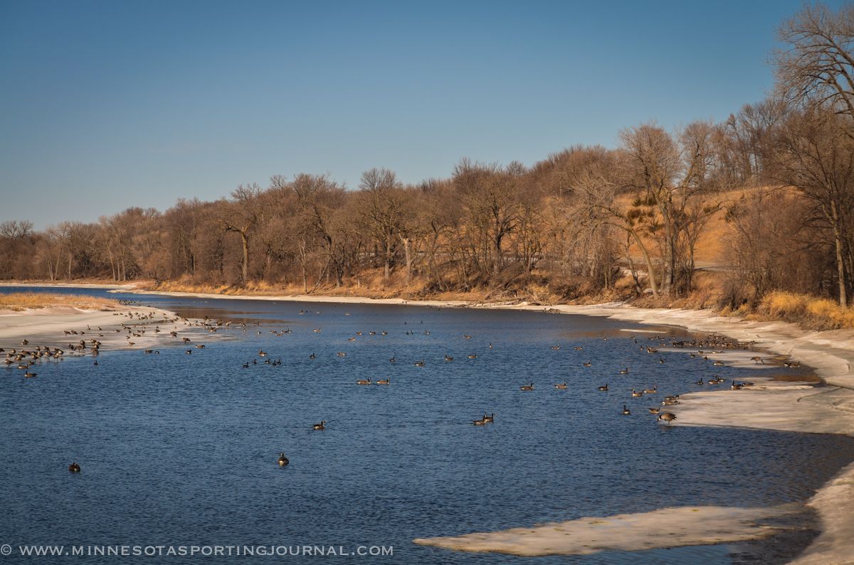 Effects of Winterkill Showing On Some Southern Minnesota Lakes