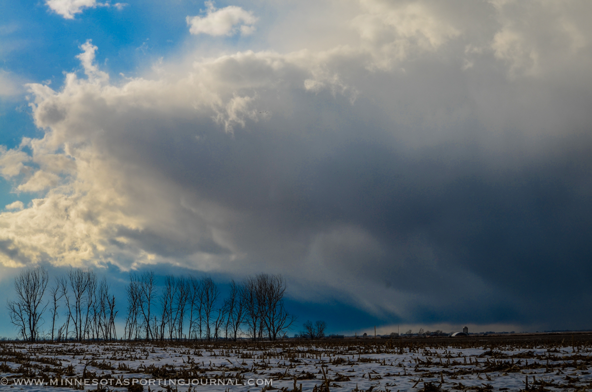 Weekly Game and Fish Violations