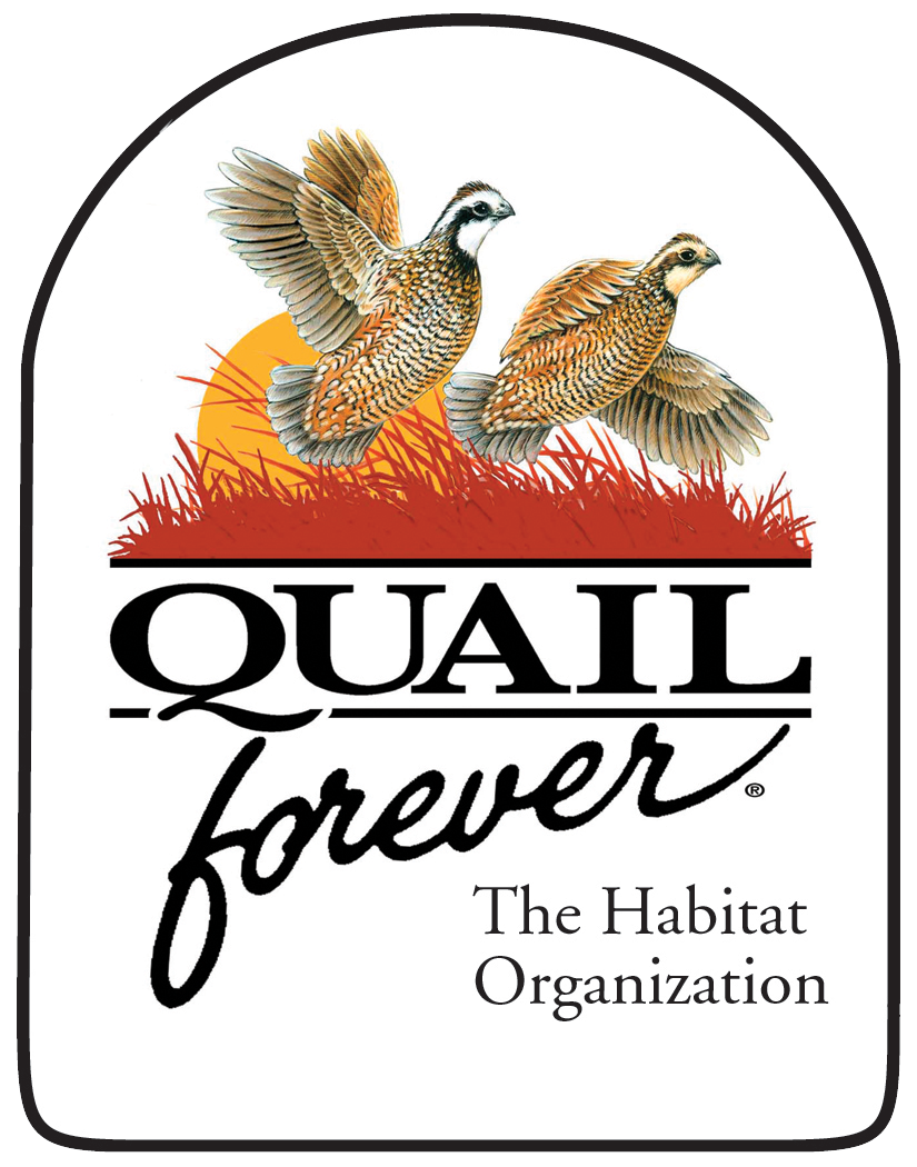 Quail to be reintroduced in Minnesota?