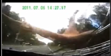 VIDEO: FLYING DEER CRASHES INTO WINDSHIELD!