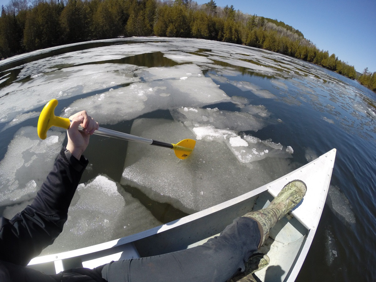 MNSJ PICTURES OF THE WEEK: Submit yours!